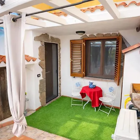 Mamau Tergu